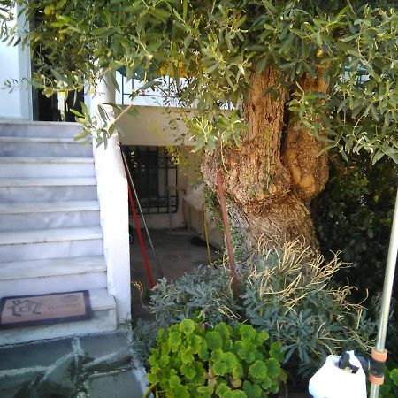 Thomi'S House. Βίλα Γερακινή Εξωτερικό φωτογραφία